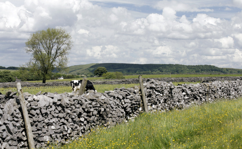Tideswell Rake Tideswell Rake
